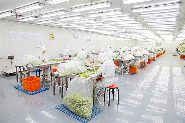西安凈化工程是什么？施工過程中要注意什么？
